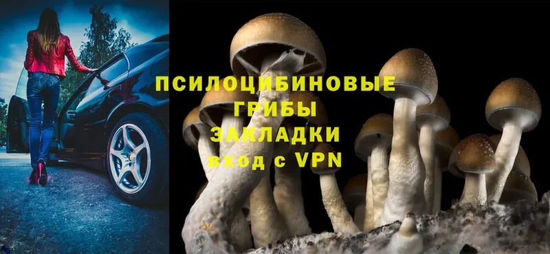 Галлюциногенные грибы Cubensis  Магадан 